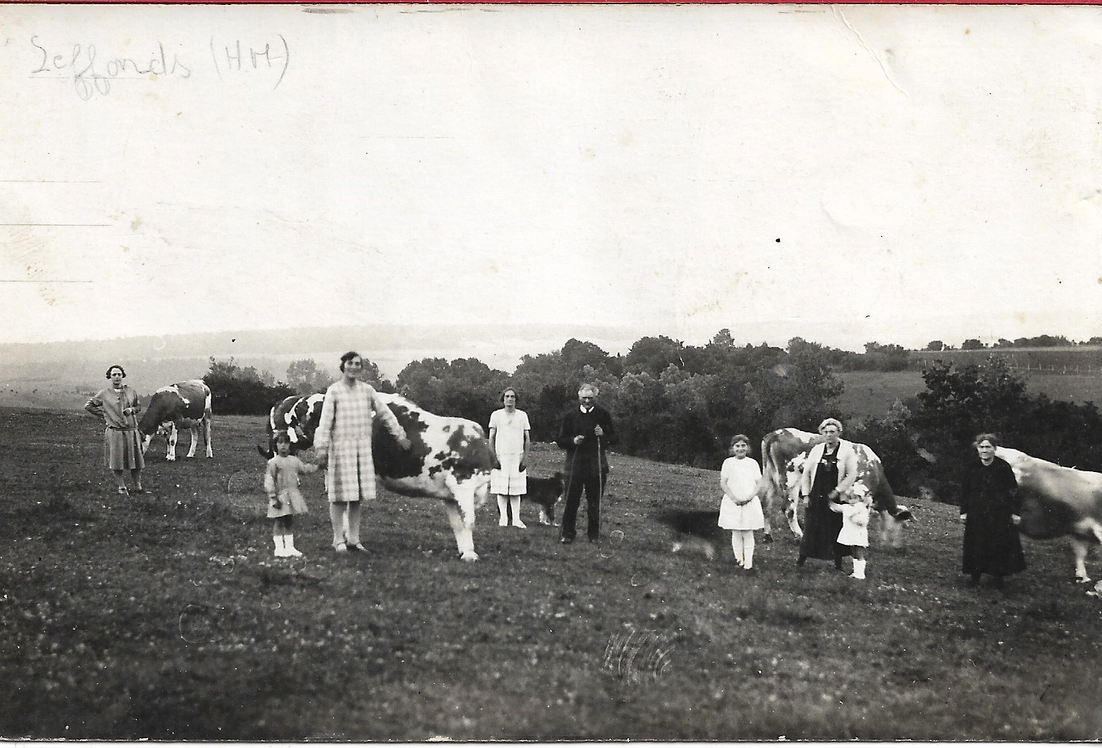 Dans les champs 1929