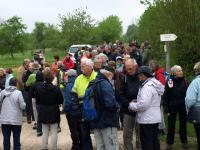 Via-Francigena-Leffonds-2016 (46)