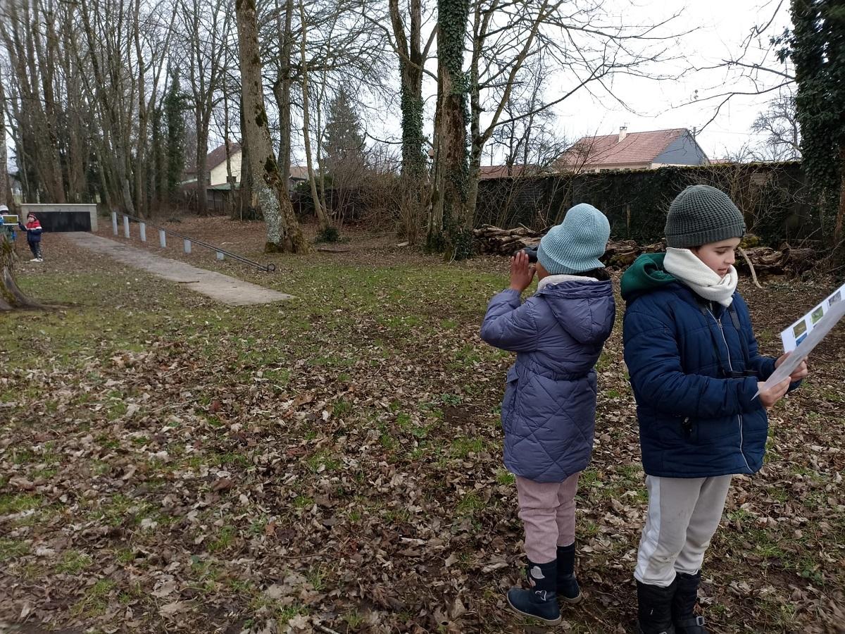 Comment observer les oiseaux avec des jumelles