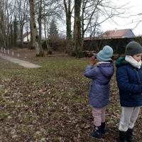 Comment observer les oiseaux avec des jumelles