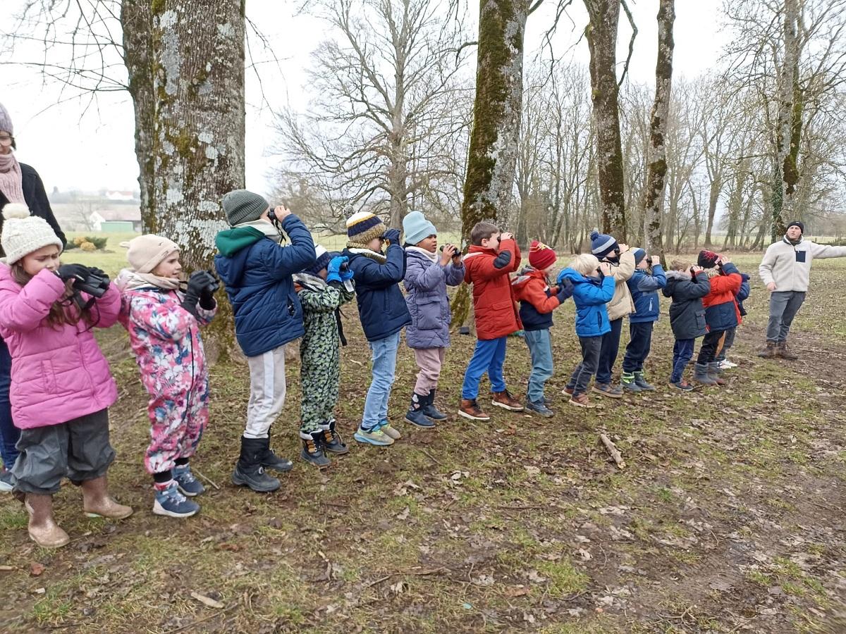 Comment observer les oiseaux avec des jumelles