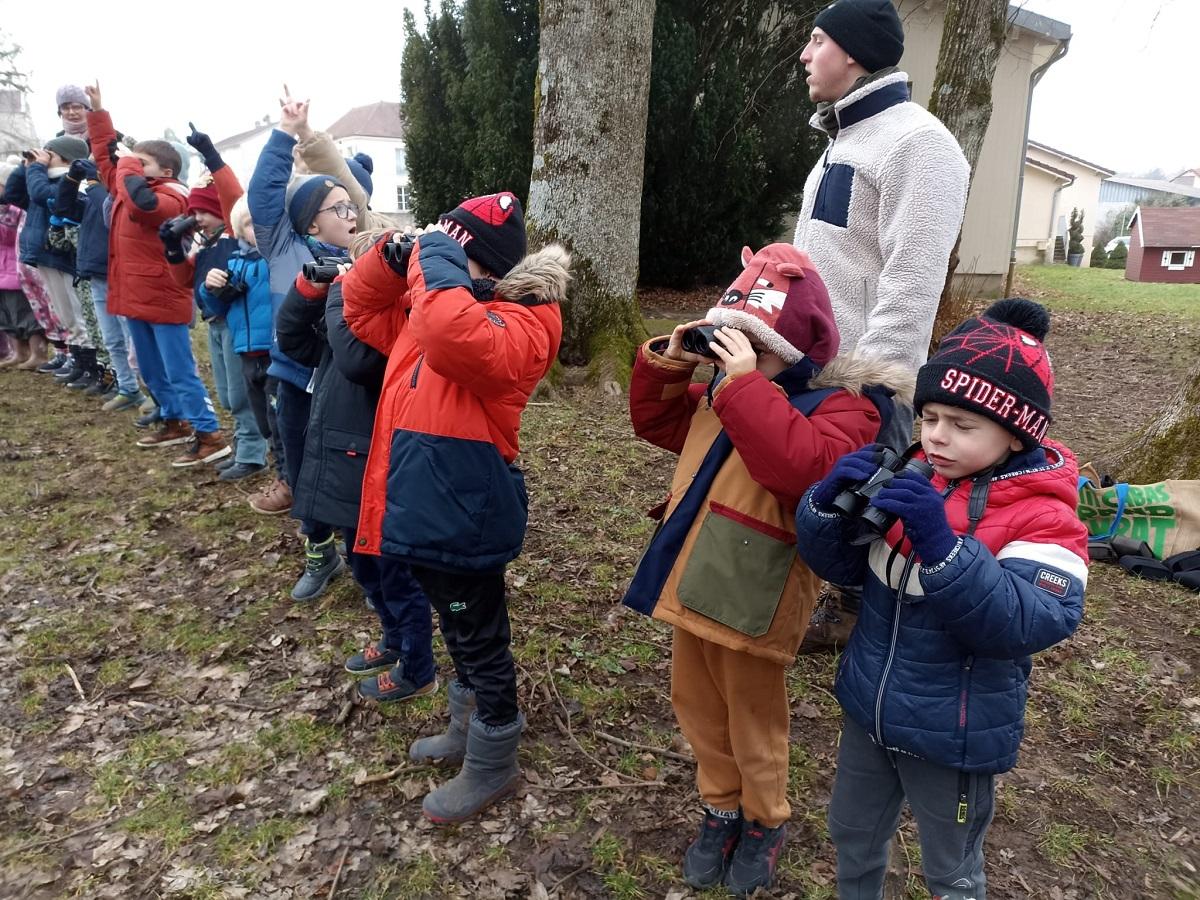 Comment observer les oiseaux avec des jumelles