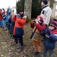 Comment observer les oiseaux avec des jumelles