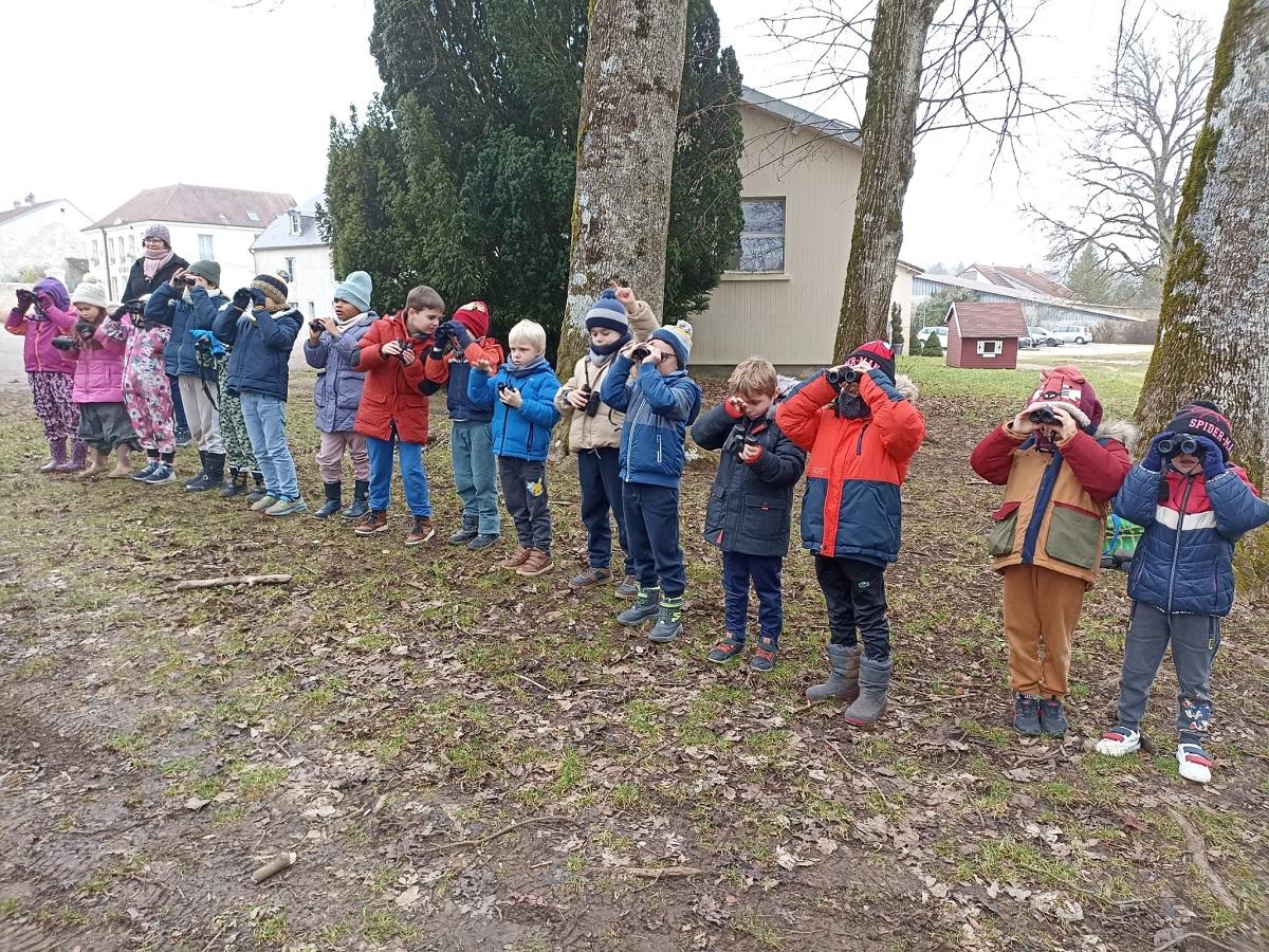 Comment observer les oiseaux avec des jumelles